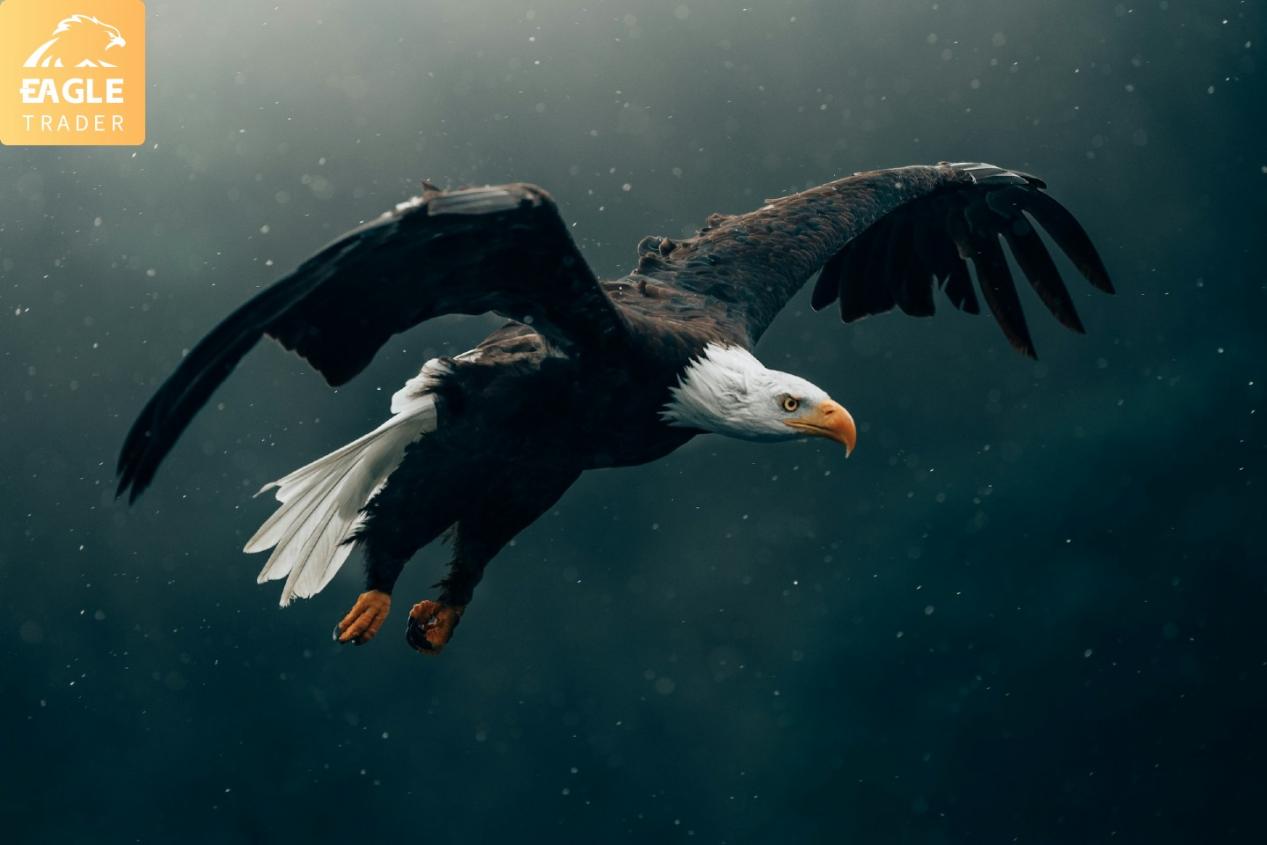 �Ϸ��Ĺ��������ƽ̨